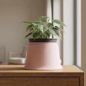 May include: A small green leafy plant potted in a two-toned container. The base of the planter is a wide, smooth, matte light pink cone shape, while the upper portion is a dark charcoal gray rim that holds the plant securely in place.
