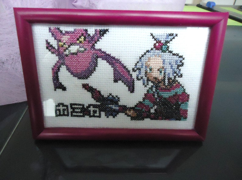 Framed cross stitched Roxie and Crobat