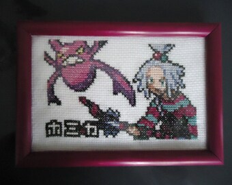 Framed cross stitched Roxie and Crobat