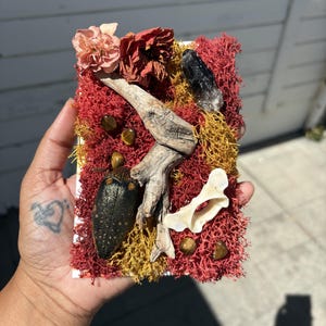 May include: A rectangular decorative piece featuring red and yellow preserved moss, a piece of driftwood, a dark beetle specimen, a small white bone, a dark crystal point, two dried flowers, and several small round tiger eye gemstone beads.