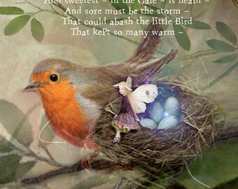 Fairy Art Print -My Friend the Robin -  Quote.. Mounted or unmounted or Canvas on Baord Ready to Frame -  signed  By Charlotte Bird