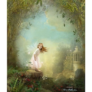 Once Upon A Time - Mounted, Unmounted or  Canvas on Board -All Size 12x16&quot; All signed by Charlotte -All  signed  By Charlotte Bird