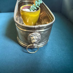Könnte beinhalten: Ein ovaler Messing-Übertopf mit einem markanten Löwenkopf-Relief auf der Vorderseite und einem hängenden Messingring. Im Inneren steht ein kleiner, leuchtend gelber Keramiktopf mit einer hellgrünen Sukkulente mit abgerundeten Blättern.