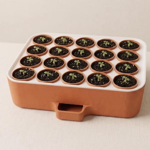 May include: A rectangular terracotta-colored planter tray featuring a white top insert with twenty circular openings. Each opening contains a small terracotta pot filled with dark soil and a single green seedling sprout. The base has a handle.