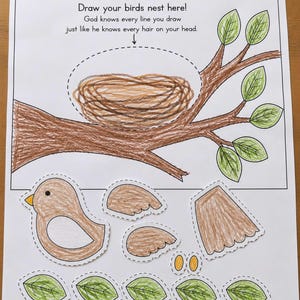 Deus conhece cada fio de cabelo da sua cabeça | Artesanato de pardais | Lição da Escola Dominical | Mateus 10:24-33
