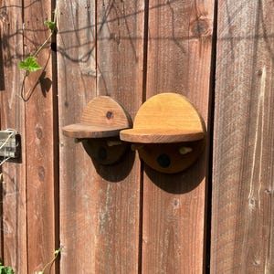 May include: Two small, semi-circular wooden shelves mounted on a weathered, reddish-brown wooden fence. Each shelf has a small, circular base and a peg underneath. The shelves are made of light-colored wood.