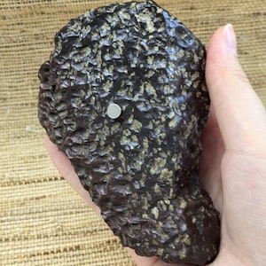 283,6 g Meteorite Pietra grezza Crosta di fusione Roccia spaziale magnetica Campione minerale