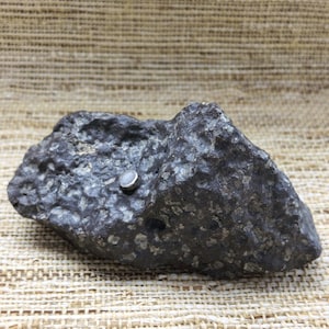 May include: A dark gray, textured rock with a rough, uneven surface and visible light-colored mineral inclusions. A small, circular, metallic-colored stud or button is embedded into the upper portion of the rock's surface.