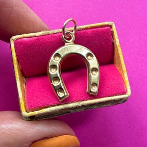 Könnte beinhalten: Ein goldfarbener Hufeisenanhänger mit einer Reihe kleiner kreisförmiger Vertiefungen auf der Oberfläche. Der Anhänger verfügt über einen kleinen runden Verbindungsring an der Oberseite und befindet sich in einer Schachtel mit leuchtend pinkem Innenfutter.