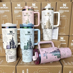 Custom Made castle princess Stanley Cup, Laser Engraved Stainless Steel Gift 40oz Tumbler Gift unique Travel coffee tumbler image 2