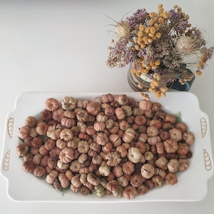 May include: A white ceramic rectangular dish filled with dried brown flower buds. The dish is on a white surface.
