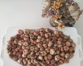 May include: A white ceramic rectangular dish filled with dried brown flower buds. The dish is on a white surface.