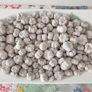 May include: A white oval dish overflowing with small, white pumpkins. The pumpkins have textured surfaces and are closely packed together. The dish rests on a patterned tablecloth with floral and geometric designs, creating an autumnal theme.