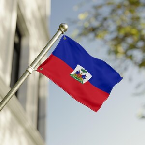 Op de afbeelding: Een Haïtiaanse vlag, met een rood en blauw ontwerp, wordt getoond op een zilveren paal. De vlag heeft een wit embleem in het midden. De vlag wappert in de wind tegen de achtergrond van een gebouw en een vage boom.
