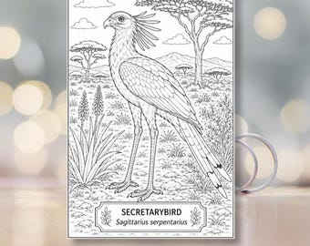 Vögel Afrikas zum Ausmalen | Afrikanische Wildtiere Druckbare PDF (10 Seiten)