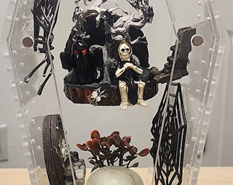 Clear coffin lighted enclosure