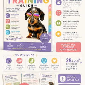 Op de afbeelding: Een digitale puppytrainingsgids met een teckel met een regenboogzonnebril op de cover. Het document bevat 28 pagina's met stapsgewijze instructies, tips voor zindelijkheidstraining, basiscommando's, socialisatie en positieve trainingsmethoden.