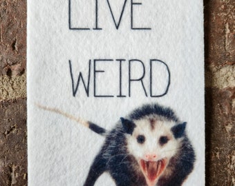 Live Weird Possum Hanging Air Freshener, Car Freshie, Car Charm, Artist Gift, Auto Accessories, Car Decor