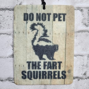 Do Not Pet the Fart Squirrels Skunk Hanging Air Freshener, Car Freshie, Car Charm, Artist Gift, Auto Accessories, Car Decor