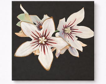 Peinture de fleurs de noix de cola : art écologique original à cordes texturées environnementales