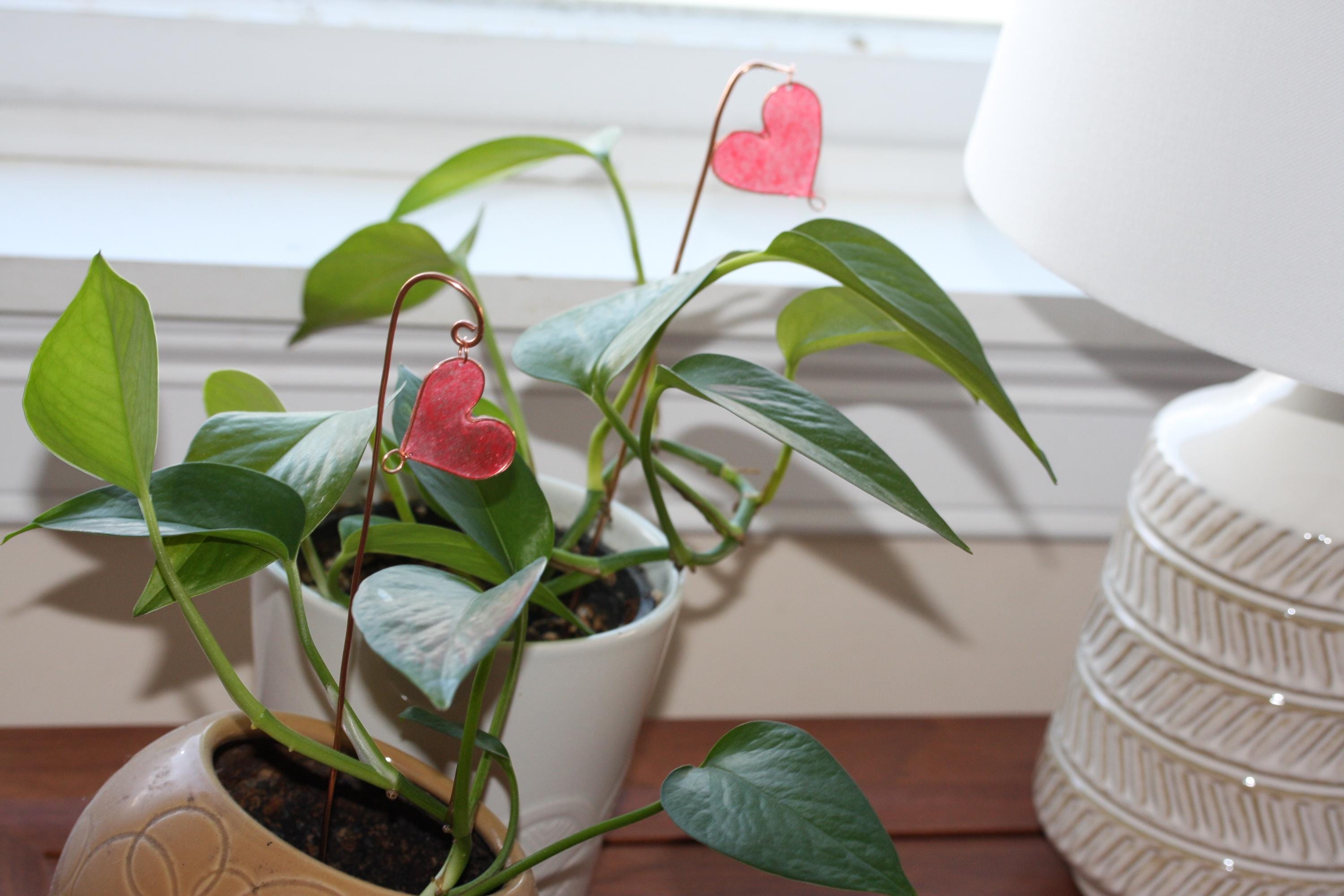 Heart Plant Stick Stakes, Decorative Sticks for Pots and Planters