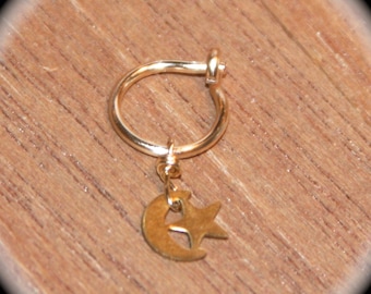 Moon and Star Cartilage Earrings, Hoop Earrings, Star Nose Ring, Helix Hoop, Nose Rings, 22 20 18 16 gauge Hoop, Piercing Jewelry