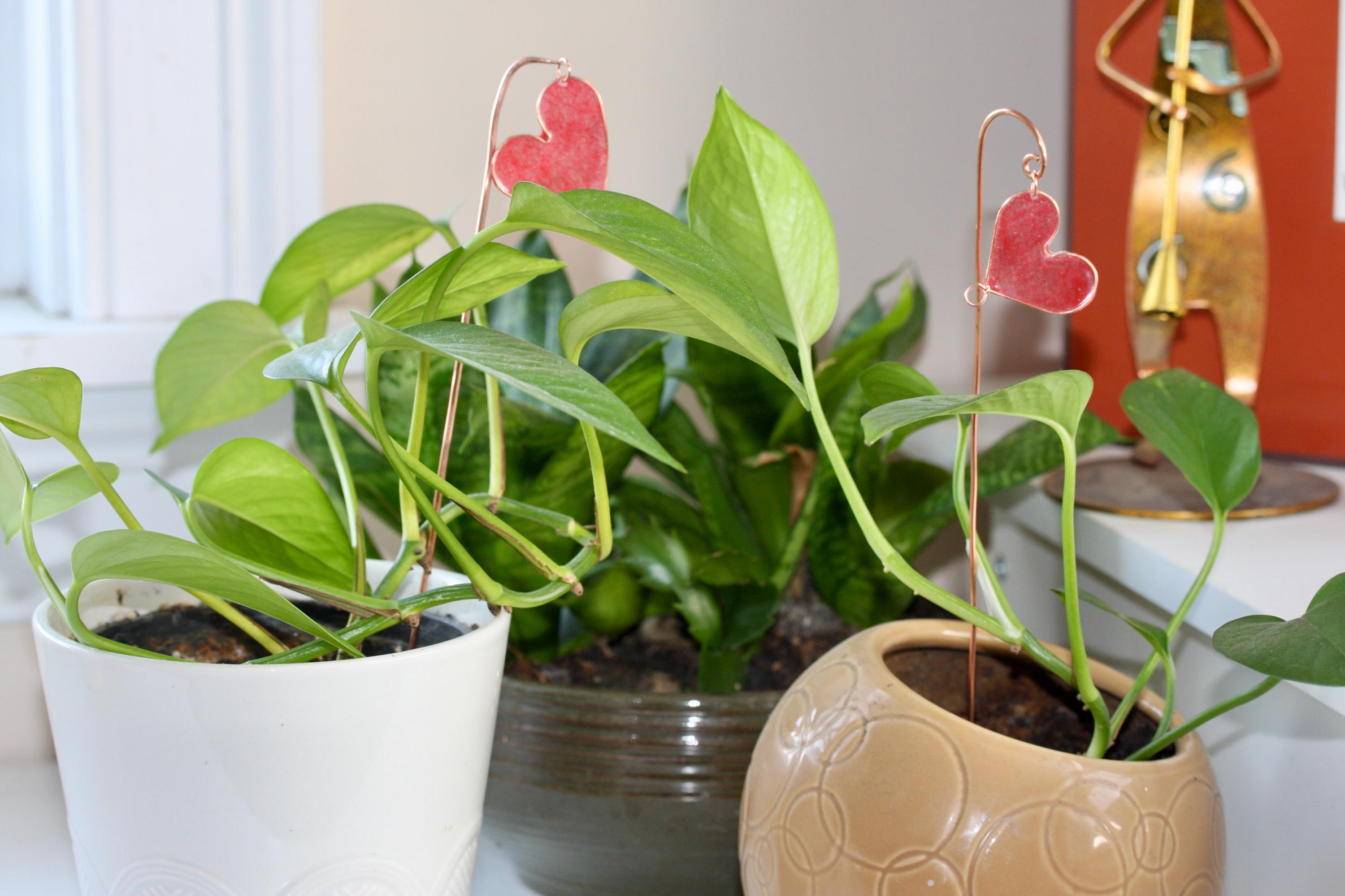 Heart Plant Stick Stakes, Decorative Sticks for Pots and Planters