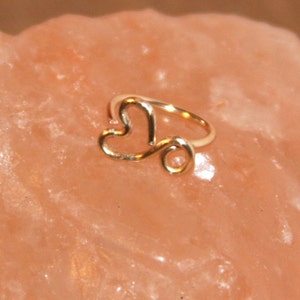 Infinity Heart Nose Ring, Nose Hoop, Hoop Earring, Cartilage Earring, Cartilage Hoop, Seamless Hoop, Piercing Jewelry, Hoop