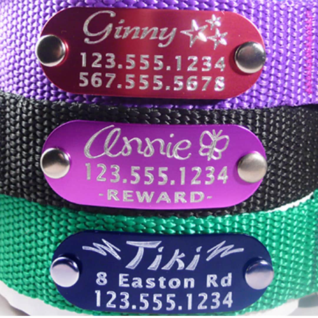 Silent / Quiet Rivet Pet ID Tag No More Jingling, Attaches Directly to
