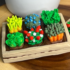 Op de afbeelding: Een miniatuur tuinkist met zes verschillende groenteperken. Het arrangement bevat felgele spruiten, een groen-blauwe plant, levendig groene sla, rood-witte besachtige trossen en oranje wortels met groene toppen in een houten frame.