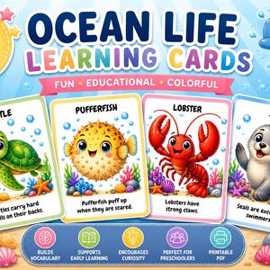 Può includere: Set di 32 schede didattiche sulla vita oceanica, con illustrazioni di animali marini come tartarughe, pesci palla, aragoste e foche. Ogni scheda presenta informazioni sull'animale. Divertente ed educativo, ideale per i bambini.