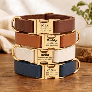 Puede incluir: Una pila de cuatro collares para mascotas en marrón oscuro, tostado, blanco y azul marino. Cada collar cuenta con una hebilla de metal dorado grabada con un nombre e información de contacto, incluyendo Max, Buddy, Bella y Arthur con números.