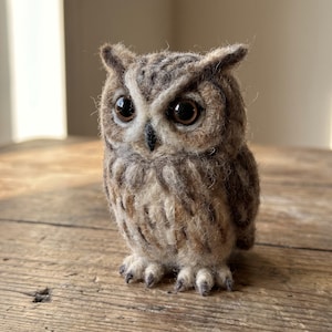 May include: A needle-felted owl figurine crafted from textured wool fibers in shades of brown, tan, and cream. The owl features large, dark, glossy eyes, a small black beak, and detailed tufts of fur around the ears and chest area.