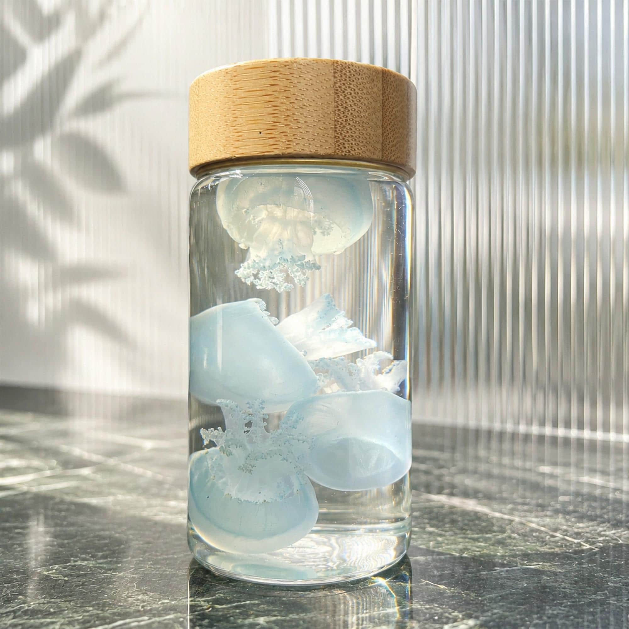 Cannonball jellyfish - Etsy 日本