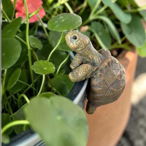 Könnte beinhalten: Eine kleine, braune, texturierte Schildkrötenfigur mit detailliertem Panzermuster und sichtbaren Augen, die auf dem Rand eines dunklen Behälters sitzt. Die Schildkröte hat einen hellbraunen Kopf und Gliedmaßen mit einem dunkleren, geometrischen Panzer.