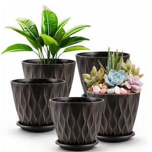May include: A set of four dark brown, tapered plant pots with a textured, wavy vertical pattern. Each pot includes a matching circular saucer. One pot contains a green leafy plant, another holds a variety of succulents with colorful pebbles.
