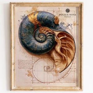 Peut inclure: Une impression encadrée représentant une grande coquille de nautile dans des tons bleu profond et or, superposée à un dessin technique avec une spirale du nombre d'or et des lignes de grille. Le texte POLLUX NOVA PRINTS figure en haut à droite.