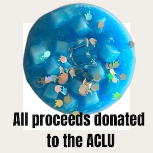 Abolish Ice Slime! All profits to ACLU