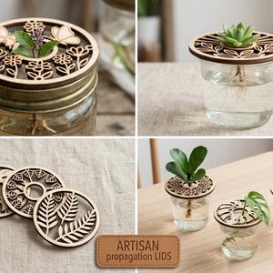 Puede incluir: Una colección de tapas circulares de madera para propagación con intrincados diseños cortados con láser de flores, mariposas y varias hojas. Estas tapas están diseñadas para colocarse sobre frascos de vidrio llenos de agua.