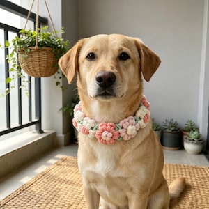 Puede incluir: Un perro con un collar de ganchillo grueso que presenta un patrón repetitivo de flores de hilo en rosa suave, crema y verde pálido. El collar está construido con bucles de hilo gruesos y texturizados que forman una guirnalda floral circular.