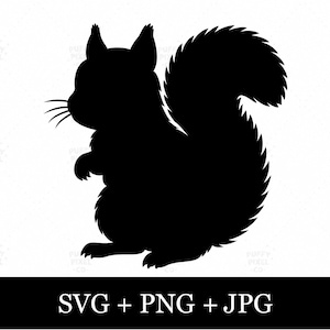 May include: A solid black silhouette of a squirrel in profile, facing left with a large, bushy, curved tail and visible whiskers. The graphic is presented as a digital file format, with the text SVG + PNG + JPG displayed at the bottom.