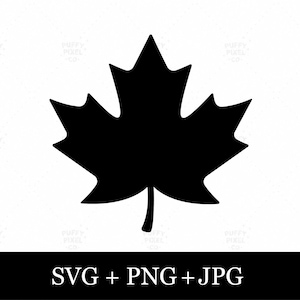 Puede incluir: Una silueta negra sólida de una hoja de arce centrada sobre un fondo blanco. Debajo de la hoja, el texto SVG + PNG + JPG se muestra en fuente blanca sobre una barra horizontal negra. La marca de agua puffy pixel co es visible al fondo.