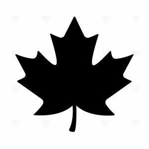 May include: A solid black silhouette of a maple leaf featuring five distinct pointed lobes and a central stem at the base. The graphic design is presented against a plain white background with a repeating faint watermark text pattern.