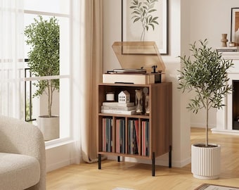 Szafka na płyty winylowe, stojak na gramofon w stylu Mid Century Modern, stojak na gramofon z uchwytem na płyty, minimalistyczny stojak na konsolę multimedialną