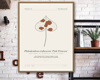 Impressão de Filodendro Princesa Rosa - Arte de Parede de Arácea Variegada para Imprimir