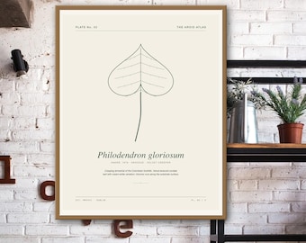 Impressão botânica de Philodendron gloriosum - Arte de parede em veludo para imprimir