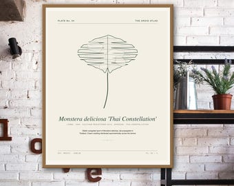 Impressão de Monstera com Constelação Tailandesa - Arte de Parede com Planta Variegada para Imprimir