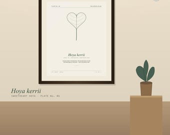 Impressão botânica de Hoya kerrii - Arte de parede imprimível com planta em formato de coração