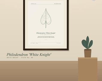 Impressão de Filodendro Cavaleiro Branco - Arte de Parede de Arácea Variegada para Imprimir