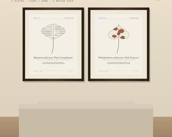 Conjunto de 2 estampas de aráceas variegadas - Arte de parede vegetal para imprimir